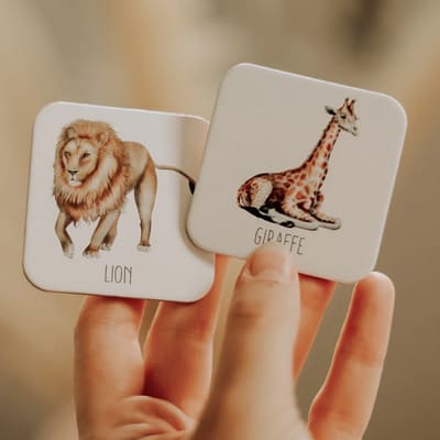 Africa Memory Card Game