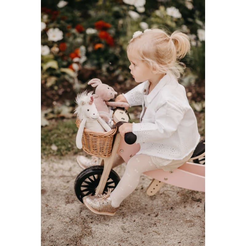 Rose PLUS Tiny Tot 2-in-1 Trike - Kinderfeets Fast shipping